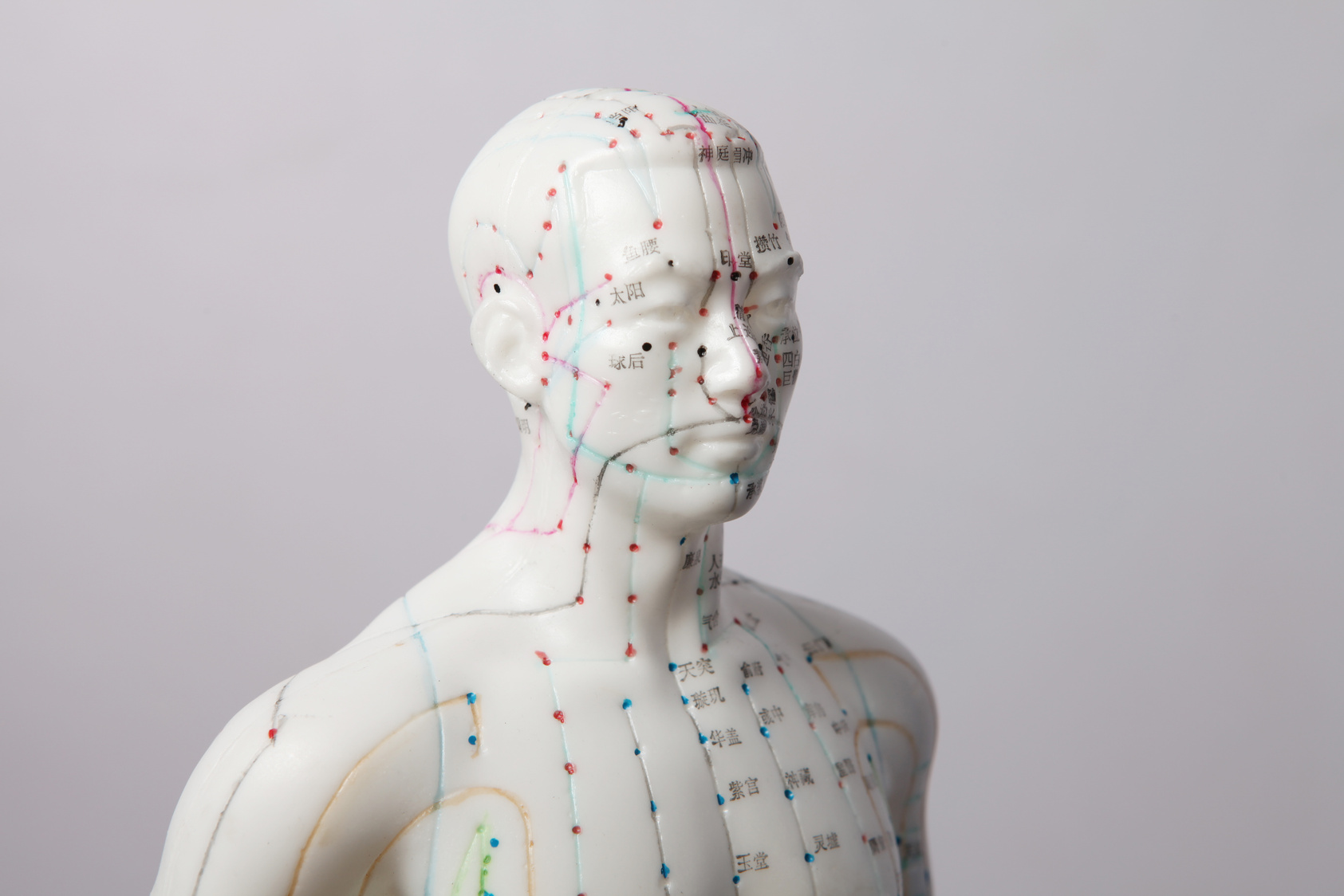 acupuncture model